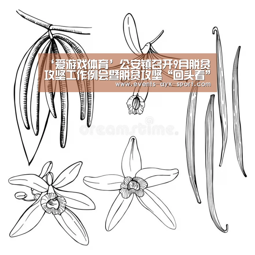 爱游戏