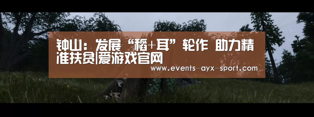 钟山:发展“稻+耳”轮作 助力精准扶贫|爱游戏官网(图3) 爱游戏官网