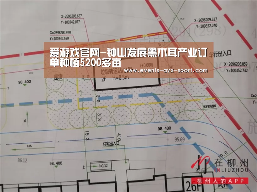 爱游戏官网-钟山发展黑木耳产业订单种植5200多亩(图2) 爱游戏首页